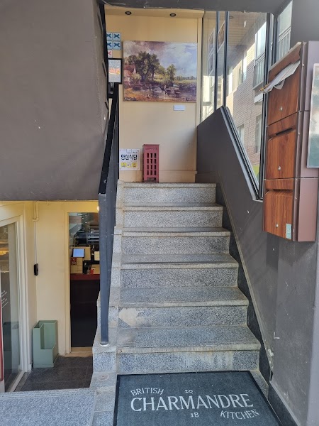 Charmandre Seoul Forest