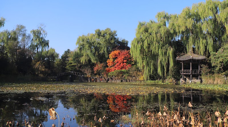Byeochoji culture Arboretum