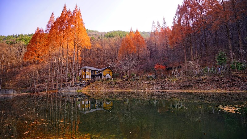 Onbit Natural Recreation Forest