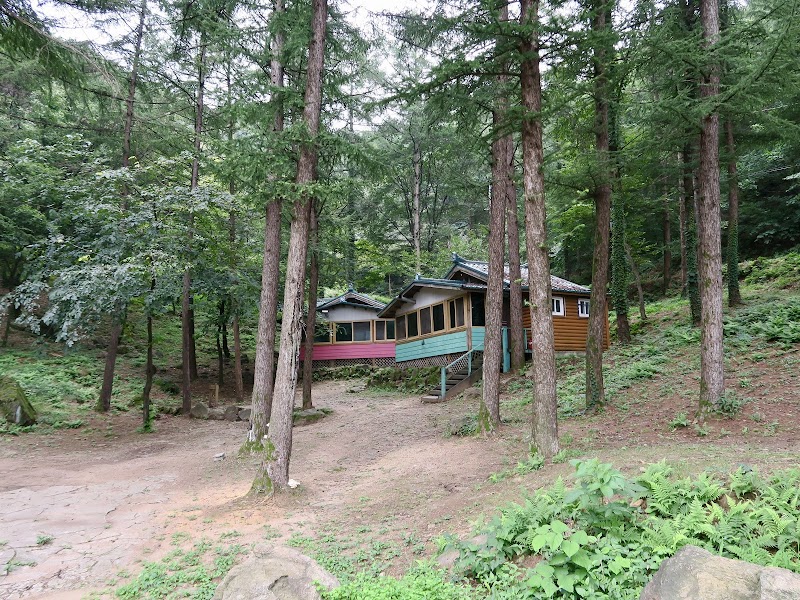Seolmaejae Natural Recreation Forest