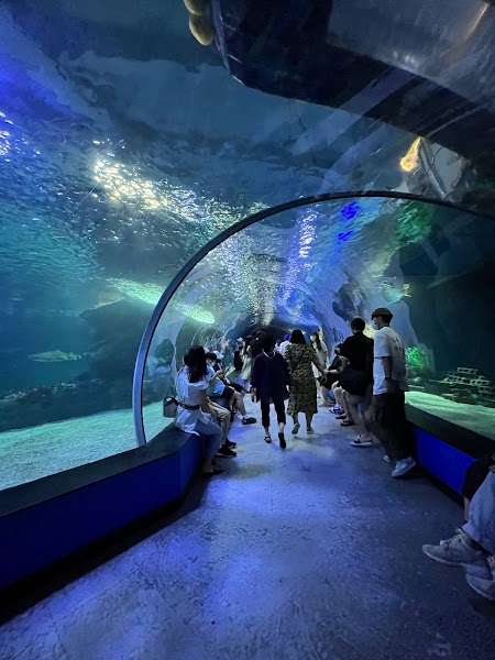 SEALIFE Busan Aquarium