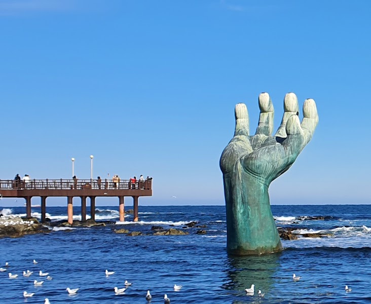 Homigot Sunrise Square