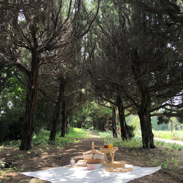 Cheongaeui Hyangnamusup