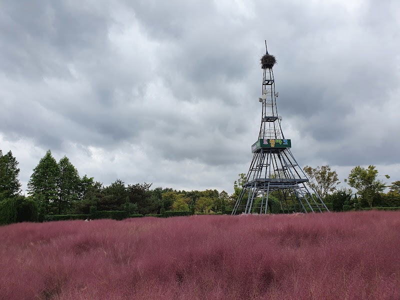 Dream Park Wild Flower Gareden