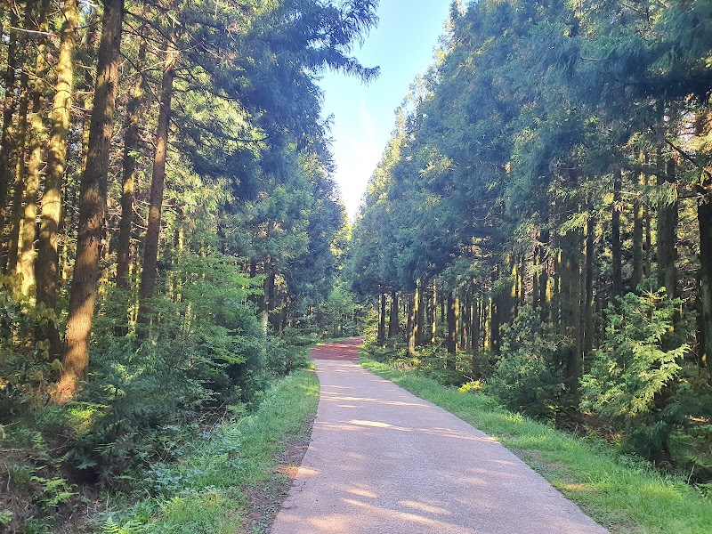 Saryeoni Forest Path