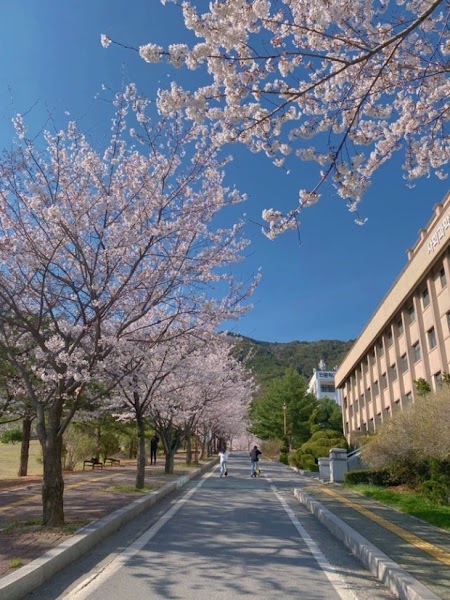 Semyung University