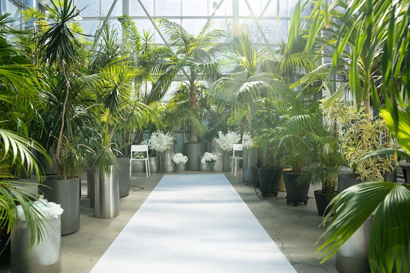 Sikmulgwan PH wedding