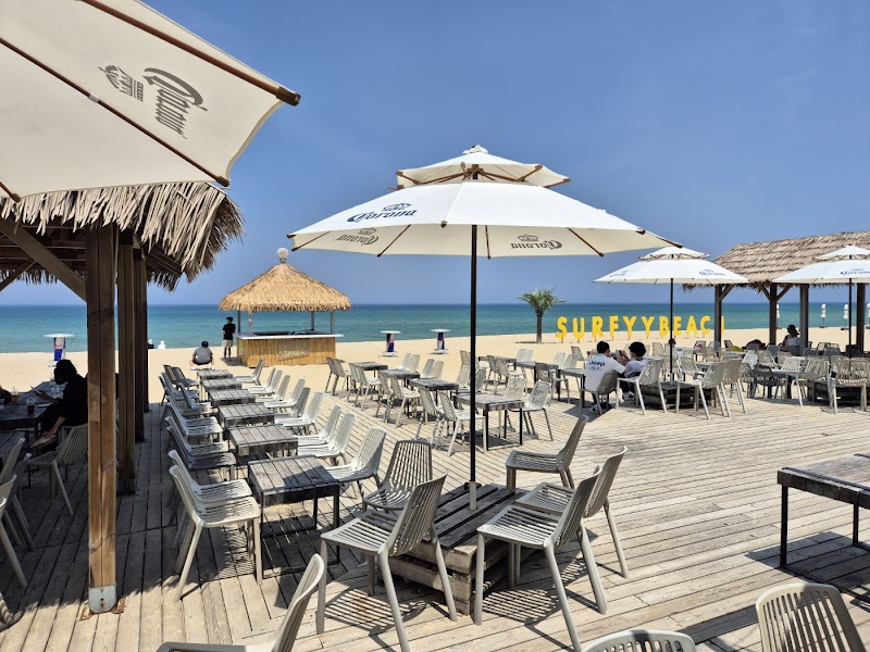 Surfyy Beach Sunset Bar