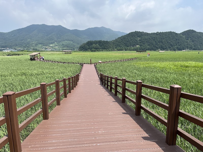 Suncheon Bay Nature Reserve