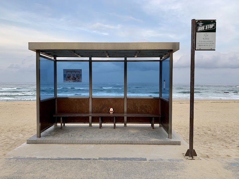 Hyangho Beach