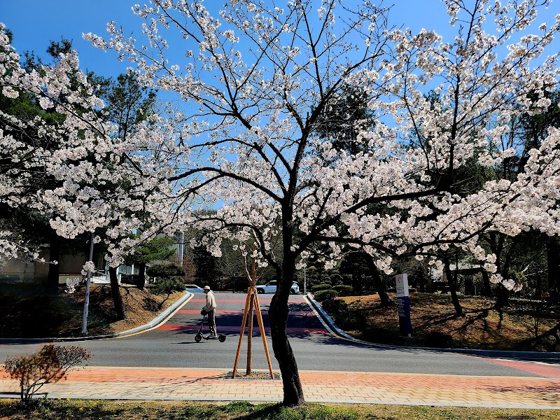 Chungnam National University