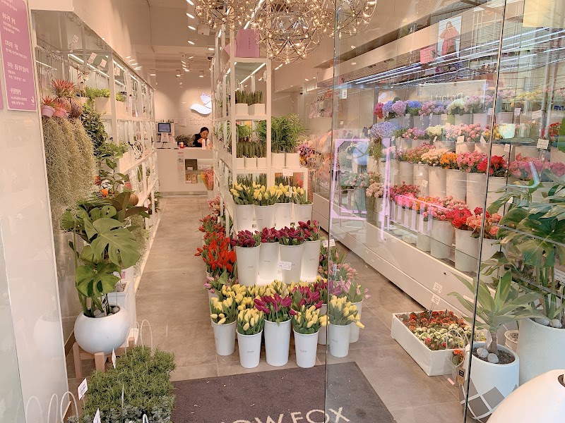 Snowfox Flower Garosu-gil